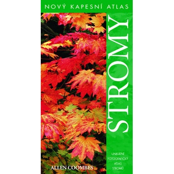 Stromy