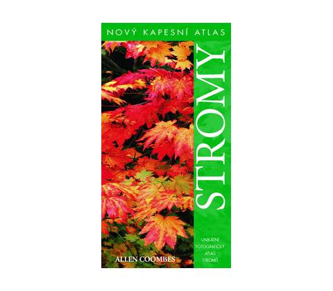 Stromy