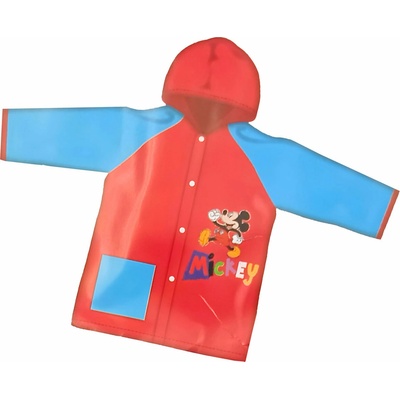 Disney Mickey