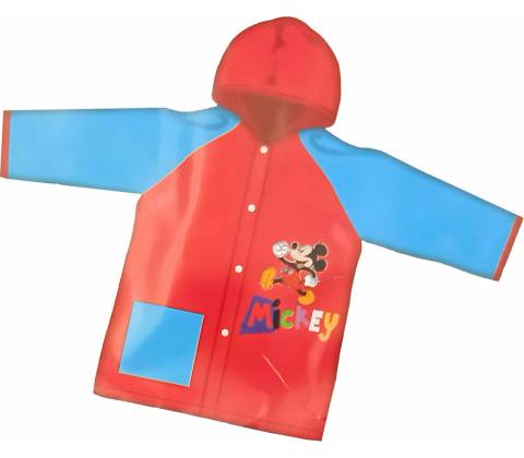 Disney Mickey
