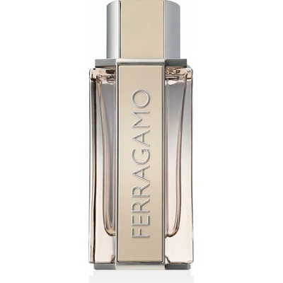 Ferragamo Ferragamo Bright Leather toaletní voda pánská 100 ml