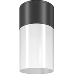 Maytoni Willis O418CL-01B