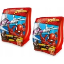 Mondo Spider-Man 206927