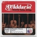 DAddario EJ17