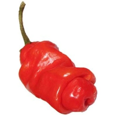 Need For Seed Chilli Penis Pepper Red semena 10 ks