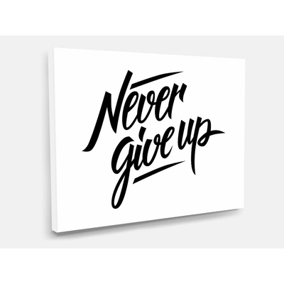 Nalepte.cz Obraz na plátně Never give up 60 x 40 cm