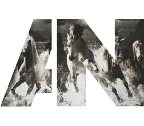 Awolnation - Run LP