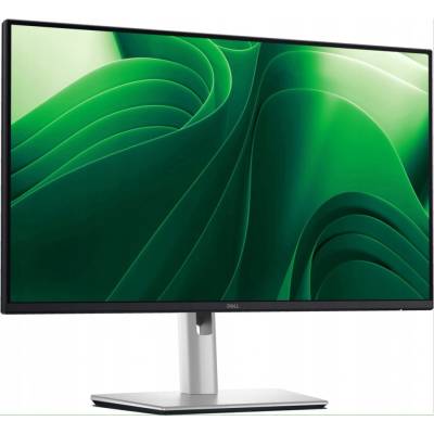 Dell P2425DE