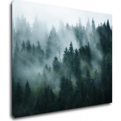 Impresi Obraz Les v hmle - 90 x 70 cm