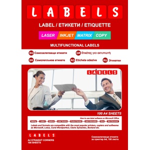 LABELS Самозалепващи етикети, прави 4.8/2.5см 44 етикета/лист оп. 100 Labels L3044