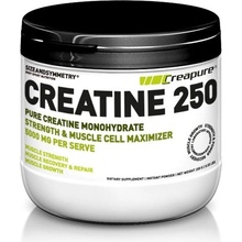 SizeAandSymmetry Creatine Creapure 250 g