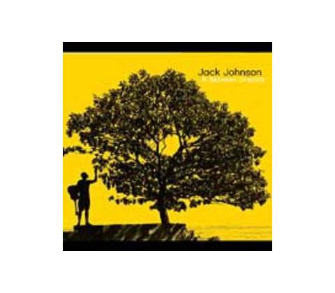 JOHNSON JACK: IN BETWEEN DREAMS CD