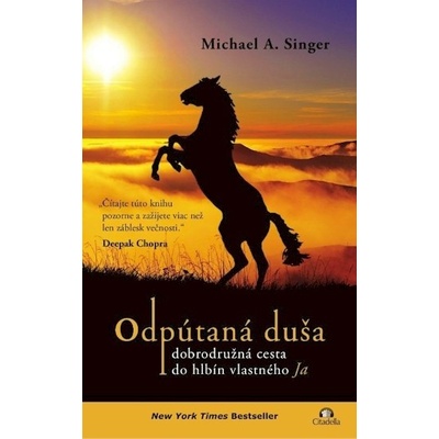 Odpútaná duša - Singer Michael A.