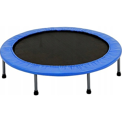 Spartan-Sport Fitness 70 cm