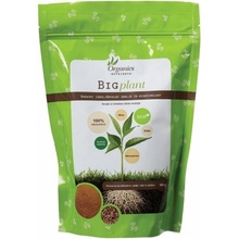 Organics Nutrients BIG plant 500 g