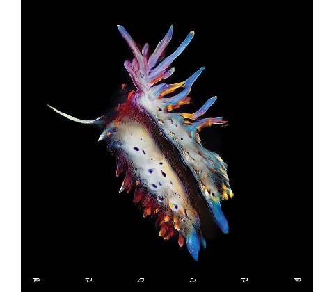 Sub Focus - Evolve CD