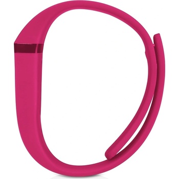 Fitbit Flex