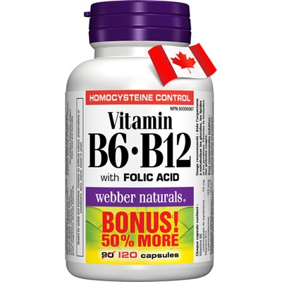 Webber Naturals Vitamín B6 + B12 + kyselina listová 120 tabliet