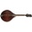 Eastman MD305