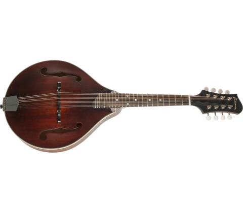 Eastman MD305