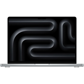 Apple MacBook Pro 14 M4 (2024) Silver MW2W3D/A