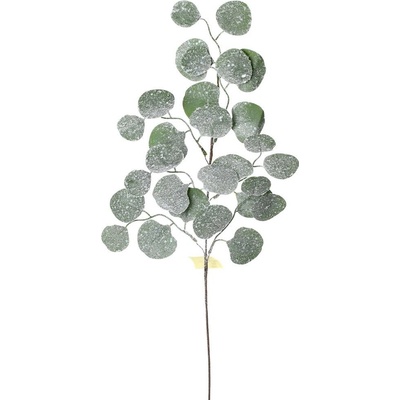 KONÁR EUCALYPTUS OSNEŽ.72CM