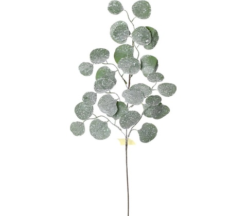 KONÁR EUCALYPTUS OSNEŽ.72CM