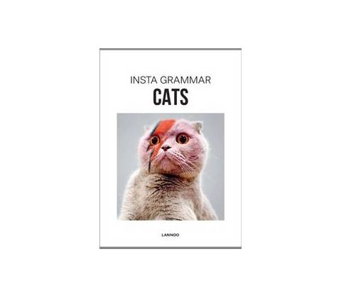 Insta Grammar: Cats