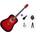Pasadena PD-10 Premium SET Red Burst Акустична китара