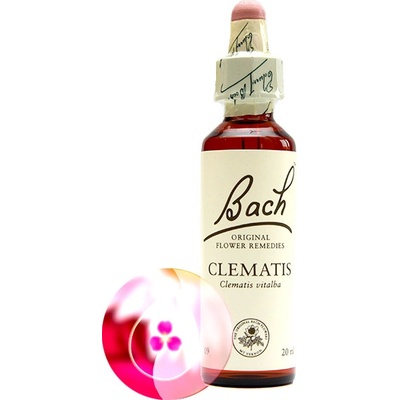 Bachovy květové esence Bílá lesní réva 20 ml