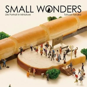 Small Wonders: Life Portrait in Miniature (ISBN: 9784865050776)