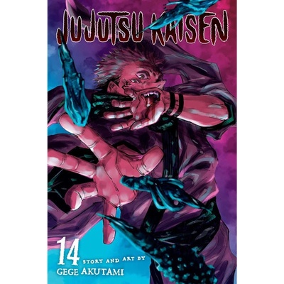 Viz Media Jujutsu Kaisen 14