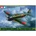 Tamiya 61103 A6M5 5a Zero 1:48