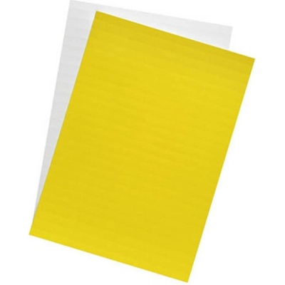 Weidmüller 1764050000 CLI F 2-17,5 WS/GE NE ochranný štítek Druh montáže: nasunutí Potisknutelná plocha: 9 x 17.50 mm bí
