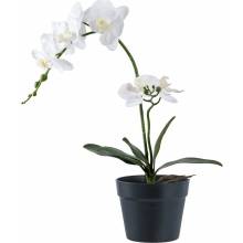 Umelá kvetina (výška 47 cm) Orchid – House Nordic