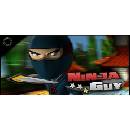 Ninja Guy