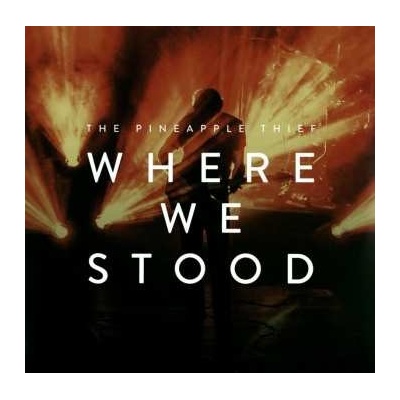 The Pineapple Thief: Where We Stood 2 LP