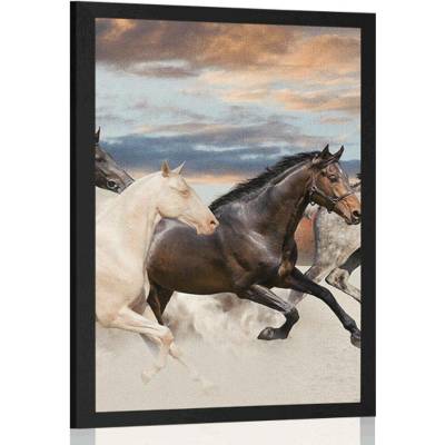 Plakát stádo koní - 20x30 black