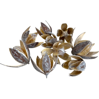 Sušené kvety Wild Lily 9ks - vintage biele