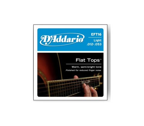 D'addario EFT16