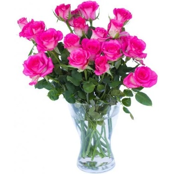 Image 1 of ТЪМНО РОЗОВА РОЗА