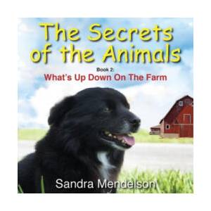 Secrets of The Animals | Sandra Mendelson (ISBN: 9780999270448)