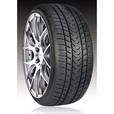 Gripmax Status Pro Winter 245/35 R21 96V