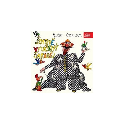 Špatně vyučený čaroděj - Rudolf Čechura