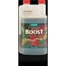 Canna Boost 250 ml