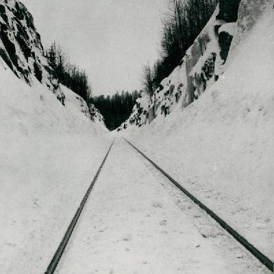 Microtub - Thin Peaks (LP) (7320470268780)