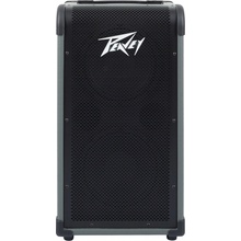 Peavey Max 208