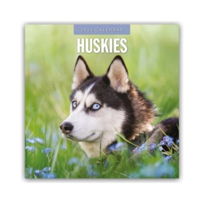 Browntrout Verlags GmbH Huskies - Husky - Huskys 2026 - 16-Monatskalender | Red Robin