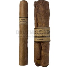 Oscar Leaf by Robusto Sumatra