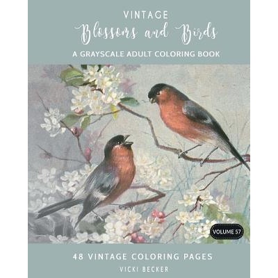 Vintage Blossoms and Birds: A Grayscale Adult Coloring Book (Vicki Becker)(Brožovaná)